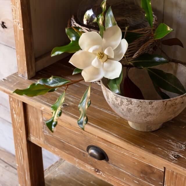 Apothecary Cabinet - Cabinet